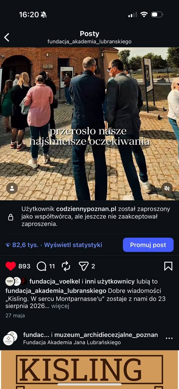 Wyniki kampanii i reakcje odbiorców